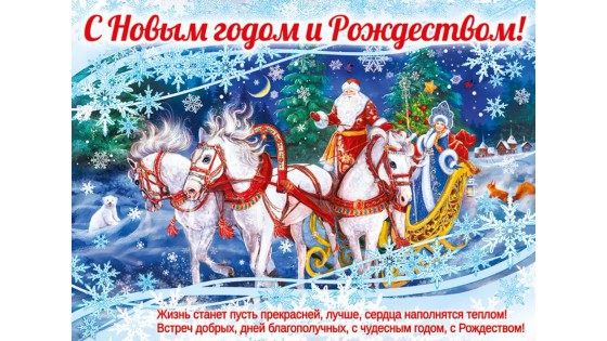 Компания COSMOFEED.Ru поздравляет всех с новым 2024 годом и рождеством.